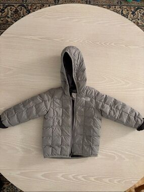 18-24Mo The North Face Hooded Puffer Jacket - Gray